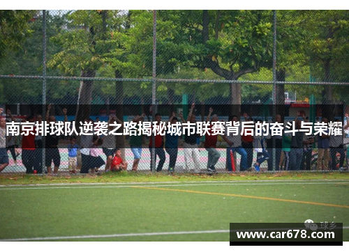 南京排球队逆袭之路揭秘城市联赛背后的奋斗与荣耀