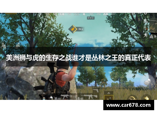 美洲狮与虎的生存之战谁才是丛林之王的真正代表